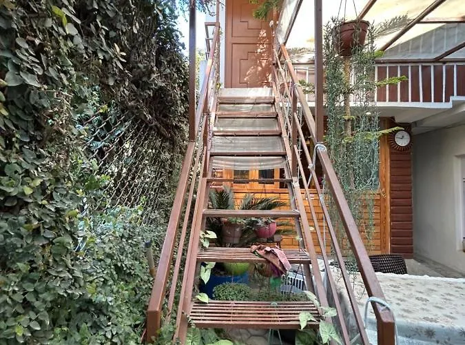 Sudha's Garden